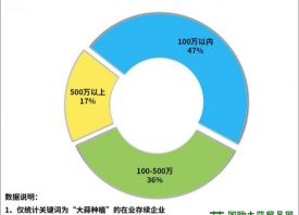 山東省大蒜企業(yè)注冊位居前茅 ()